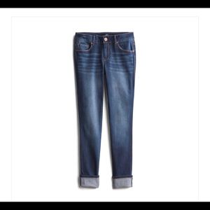 1822 Denim Vintage Berlin Skinny Jean